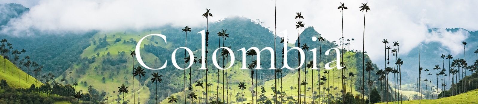 colombia banner